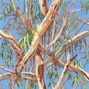 Gum Tree Col. 101 Blue